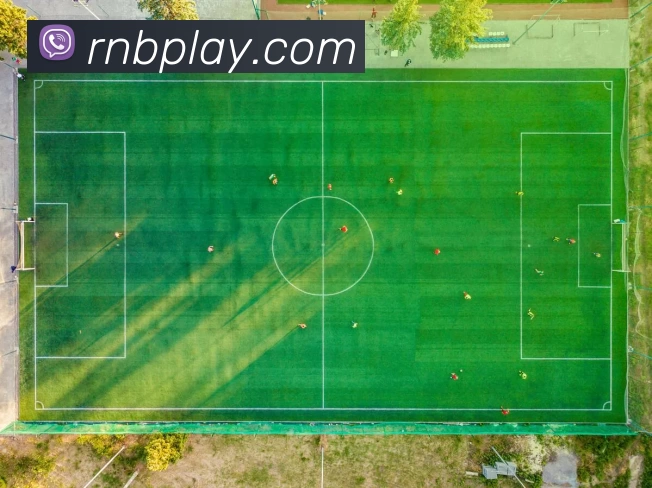 任你博娱乐城官网APP 体育赛事宣传图